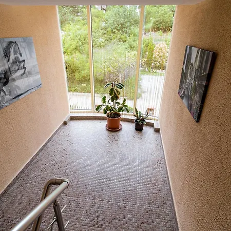 ホテル Red Iguana 3*