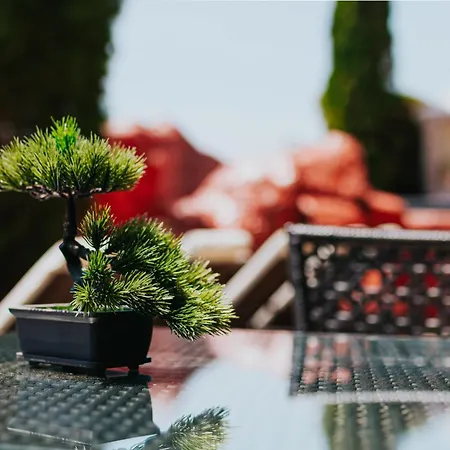 Red Iguana ホテル