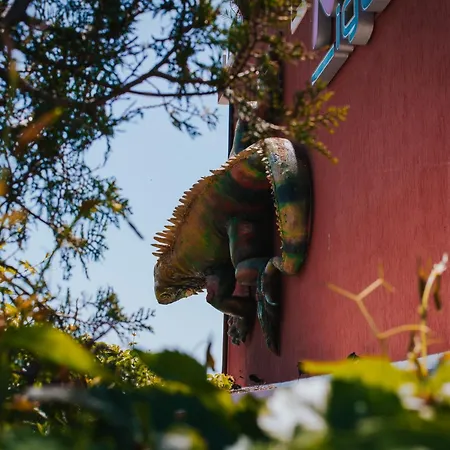 Red Iguana ホテル スヴェティ・ヴラス