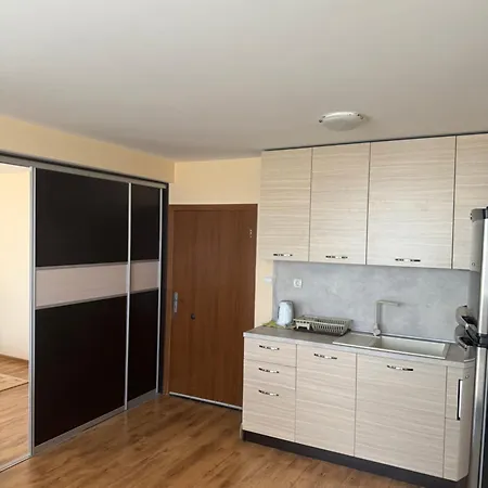 ホテル Red Iguana 3*