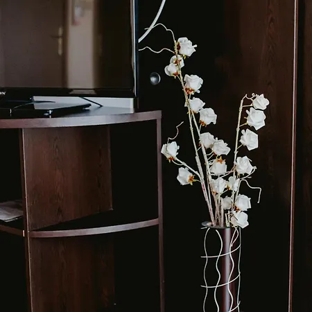 Red Iguana 3* Sveti Vlas