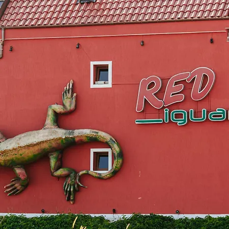 红色鬣蜥酒店 3* 圣弗拉斯