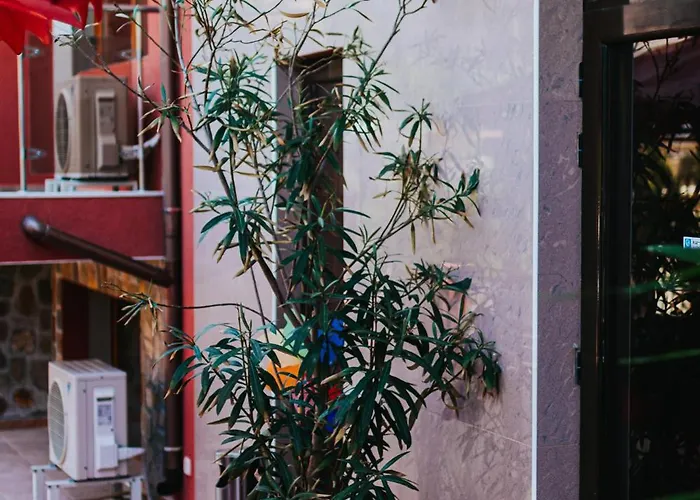 Red Iguana 3* Sveti Vlas